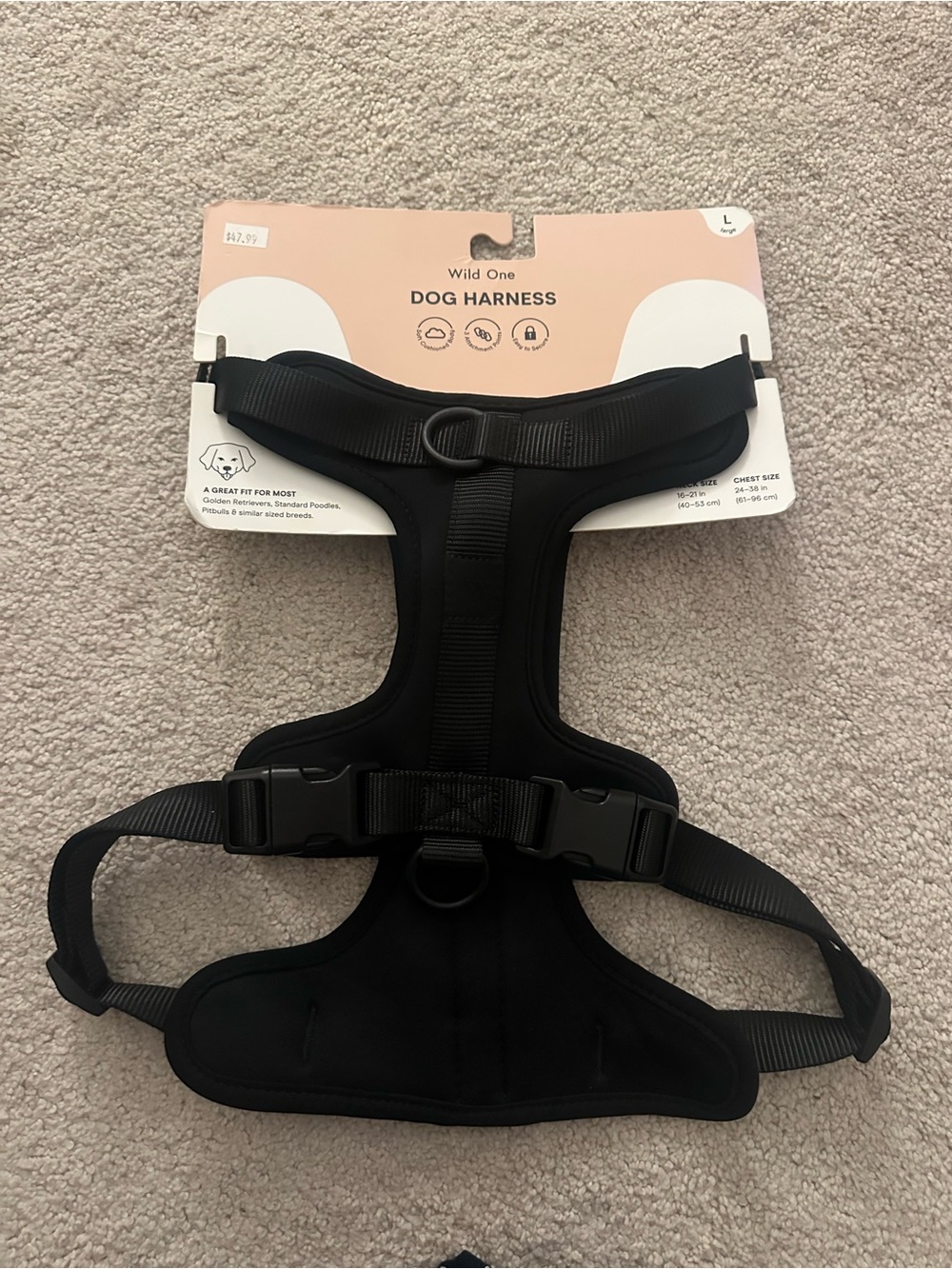 Dog Harness Wild One in Black size Large